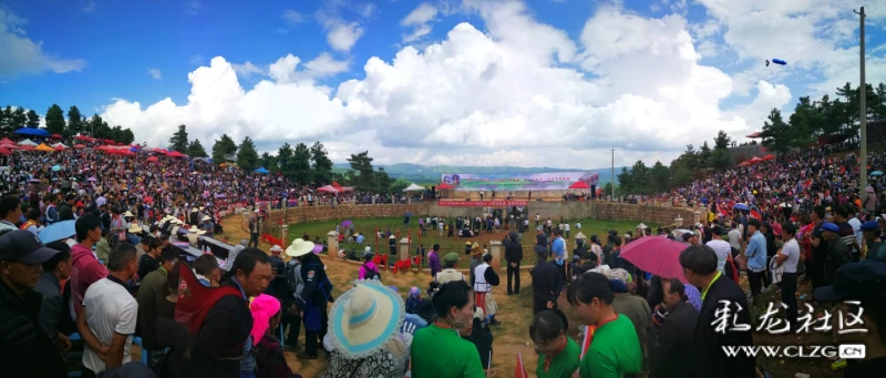 立秋节的乡土气息寻甸六哨乡斗牛现场