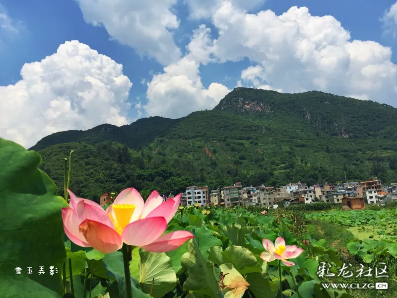 散淡人游散旦镇