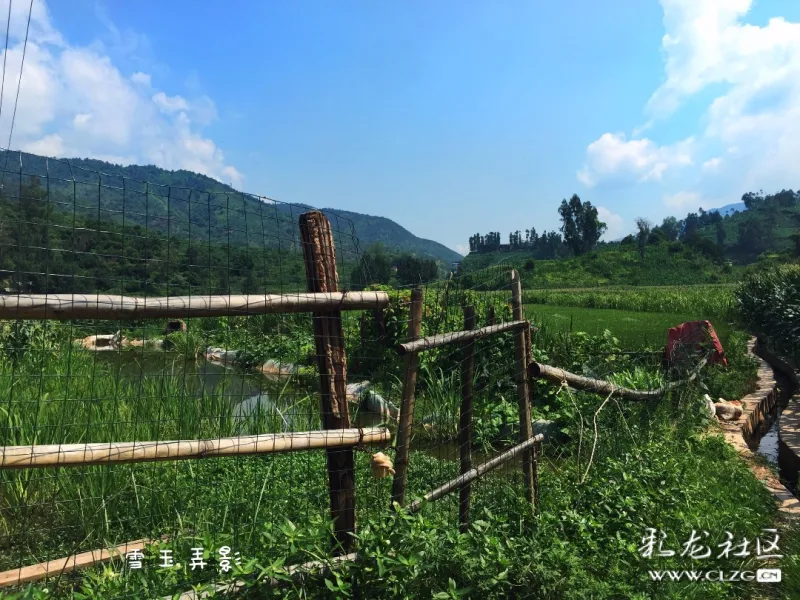 散淡人游散旦镇