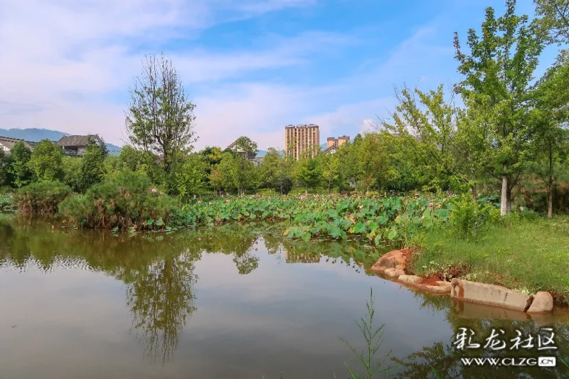 富民湿地公园