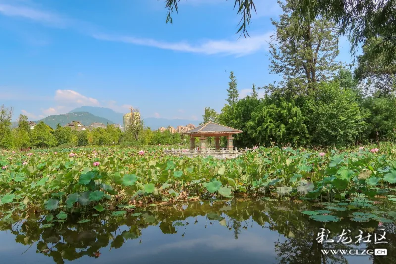 富民湿地公园