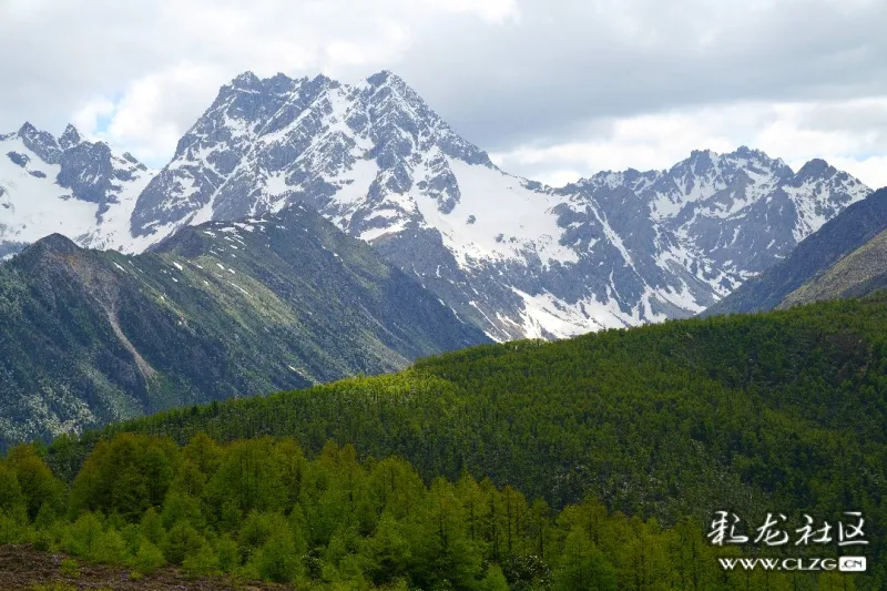 香格里拉白馬雪山