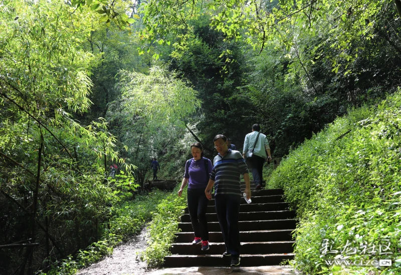 雨后太华古道尽显绿林苍翠