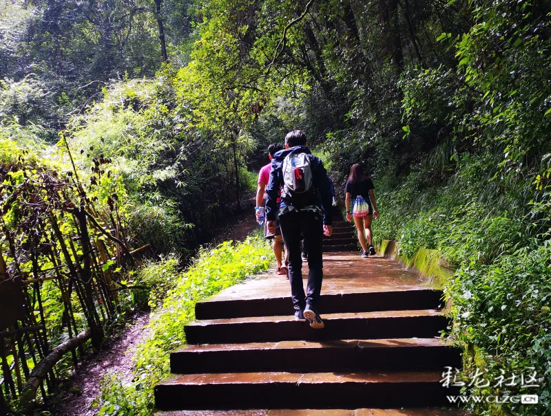 雨后太华古道尽显绿林苍翠