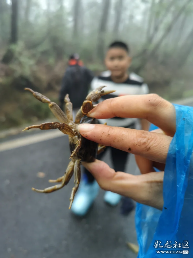 煙雨劍門關-彩龍社區