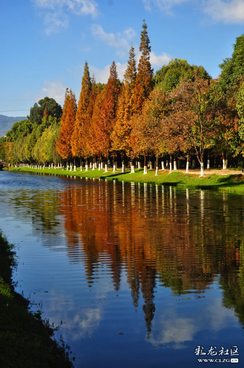 迷上美丽的采莲河
