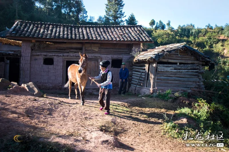 今天保留的木垛房,唯一的功能就是关牲畜,以及杂物粮食储藏!