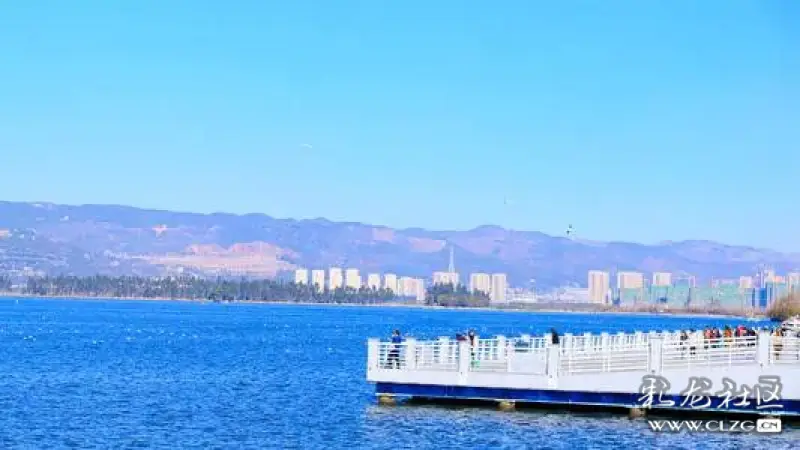 海埂公园还有画阁,石舫,观海长廊,葱绿的草坪,艳丽的樱花林,豪华游艇