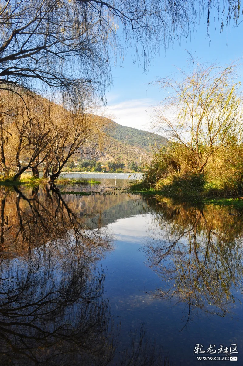 冬季的滇池草海