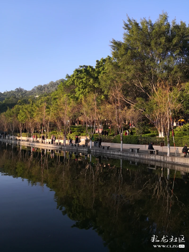 竹湖园公园