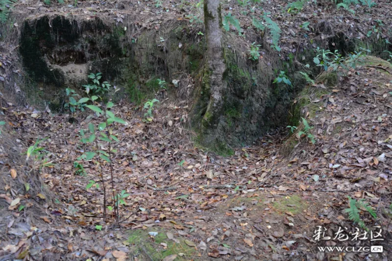 滇西抗战遗址考察三松山战役遗址