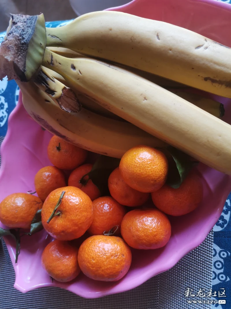 待在家里的第五天-彩龙社区