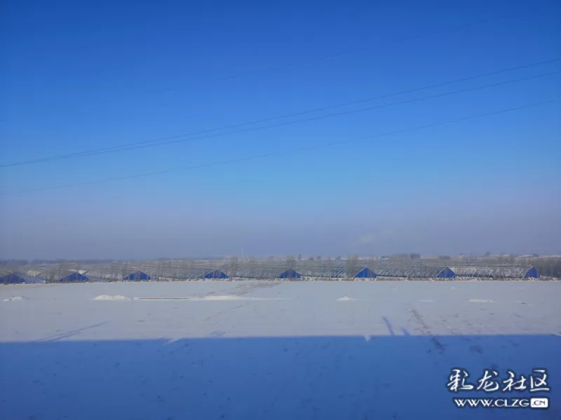 一片白茫茫大地真干净