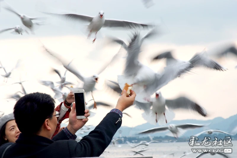 将大幅跃升经济总量排名_经济图片(2)