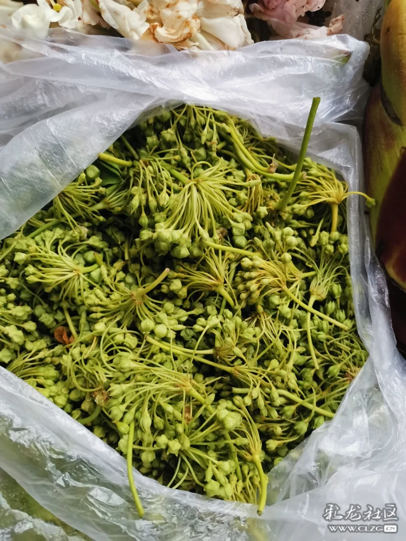 请教大师们云南的这几春菜怎么烹调