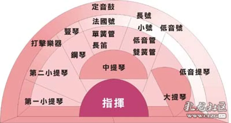 重新认识中提琴