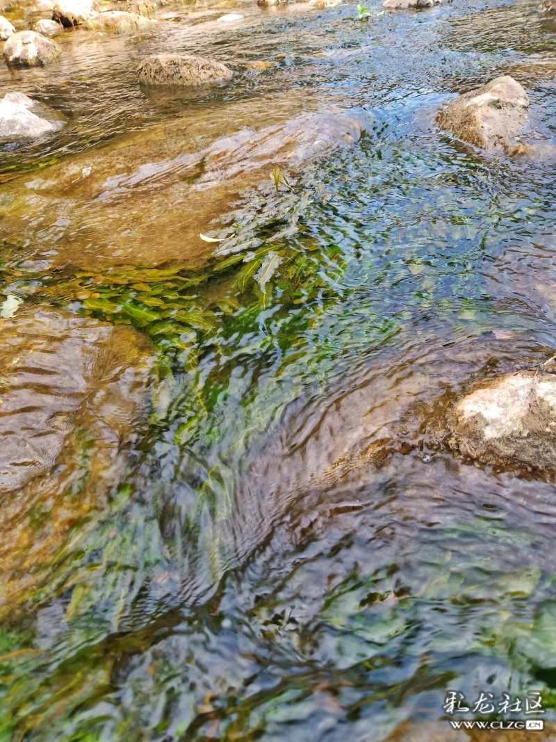 古生村从龙王庙基座流向洱海的水