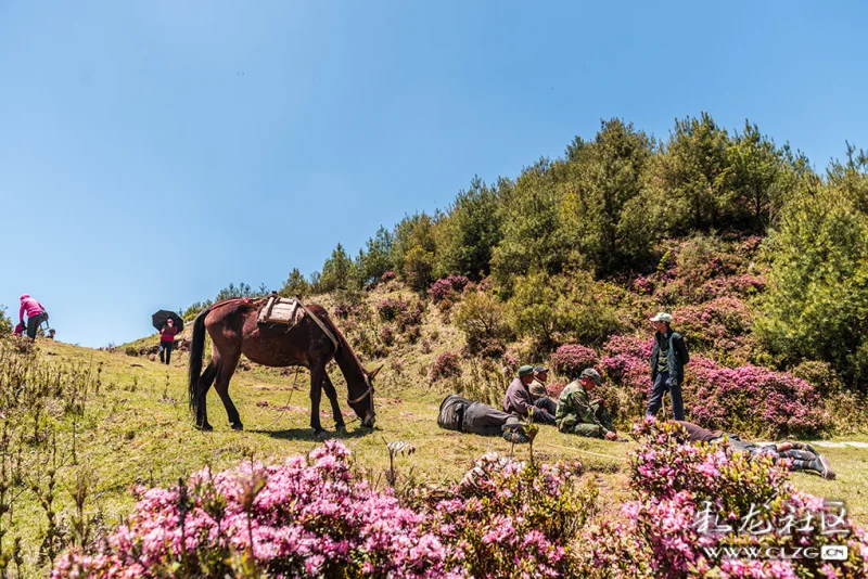 收歌组照作者风光电话13908874336拍摄地禄劝马鹿塘乡