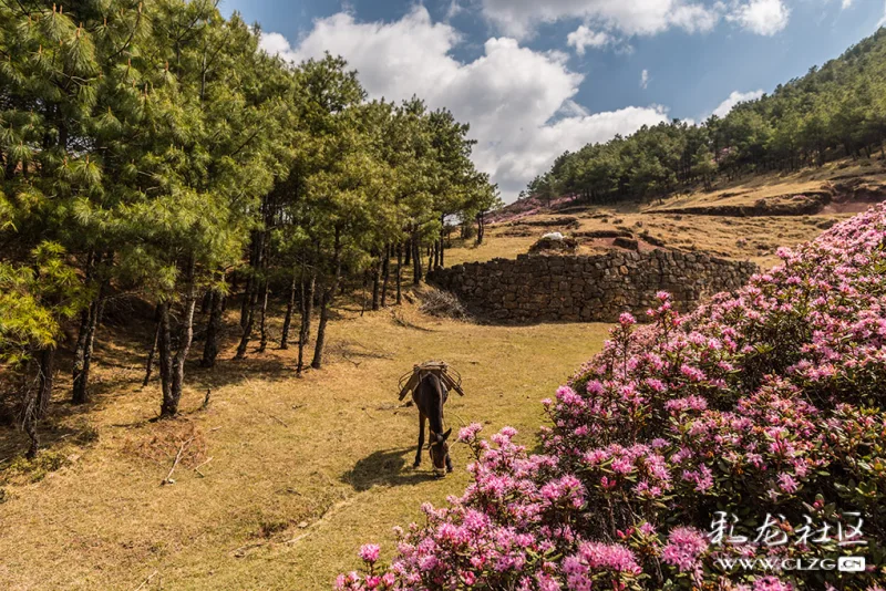 收歌组照作者风光电话13908874336拍摄地禄劝马鹿塘乡