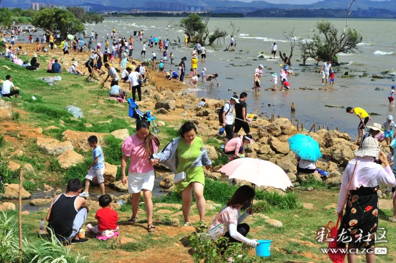 夏季湿地公园的周末上