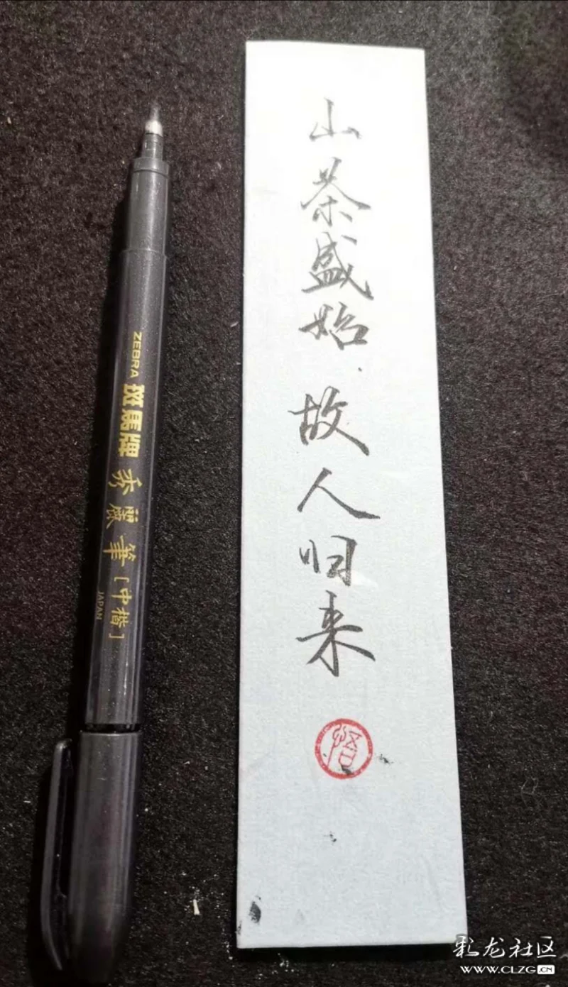 推敲旧律新词,偏爱素笺丝竹.不喜妆奁和锦服,秉烛勤耕读.