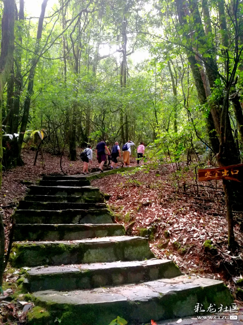 遊石門峽哀牢山之行