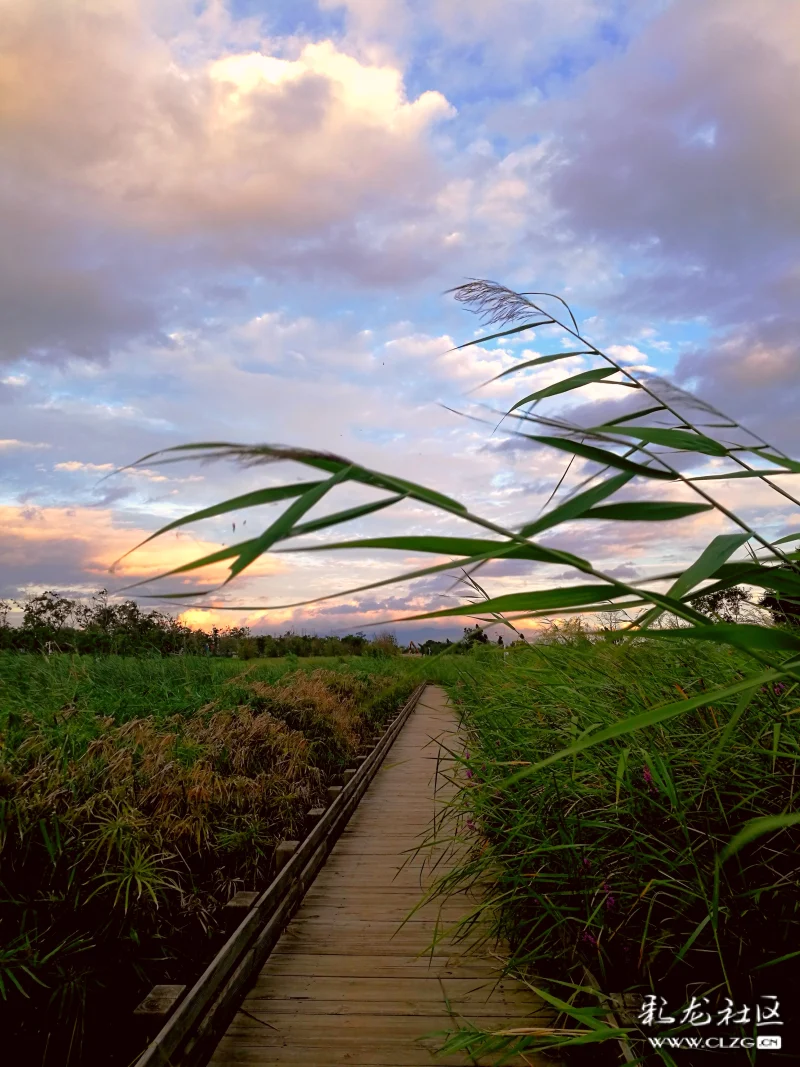 温柔的晚风吹过 美丽的滇池岸边