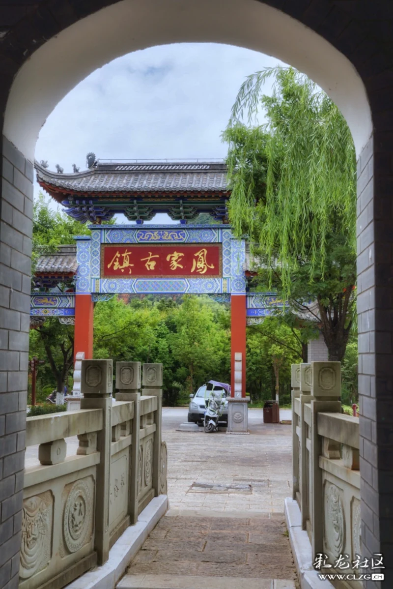 凤家古镇第四届野生菌美食节开幕啦