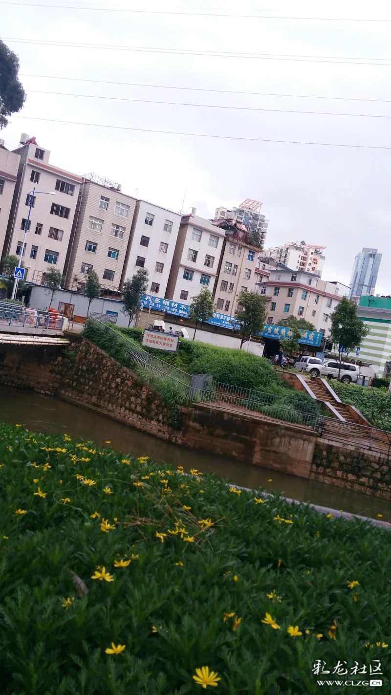 上马新村疑似原河道进出水口