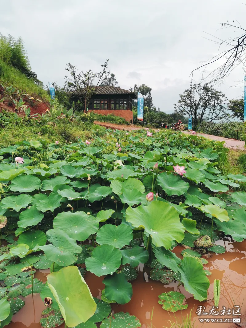 富民赤鹫半山耕云