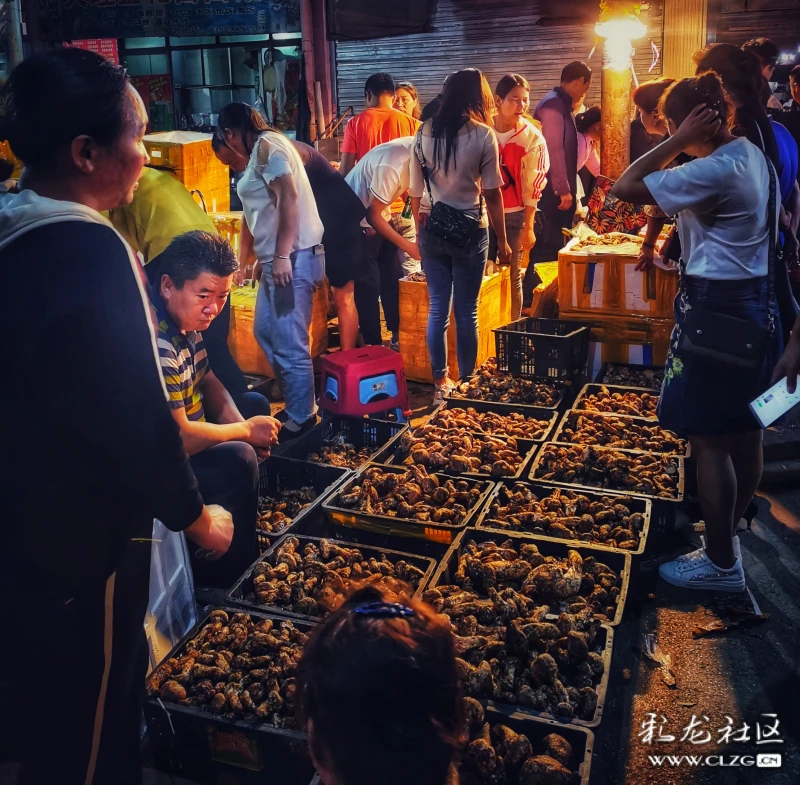 云南野生菌山珍美味的地摊夜市