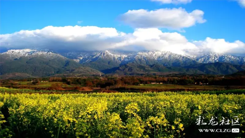 clzg_content&clzg_scale=1080,608