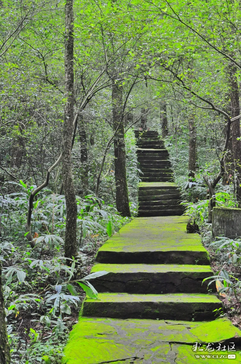 初秋,在凤山呼吸空气!
