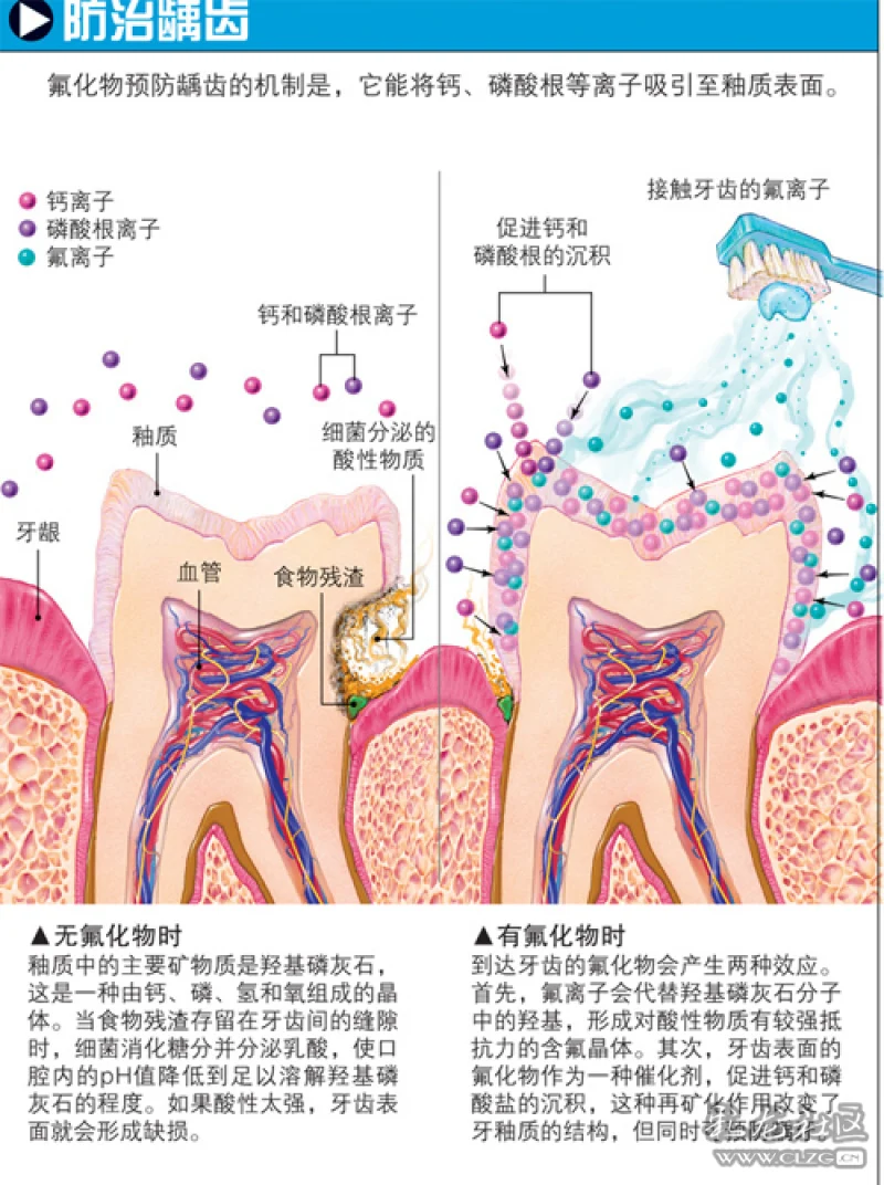 我的護牙小竅門