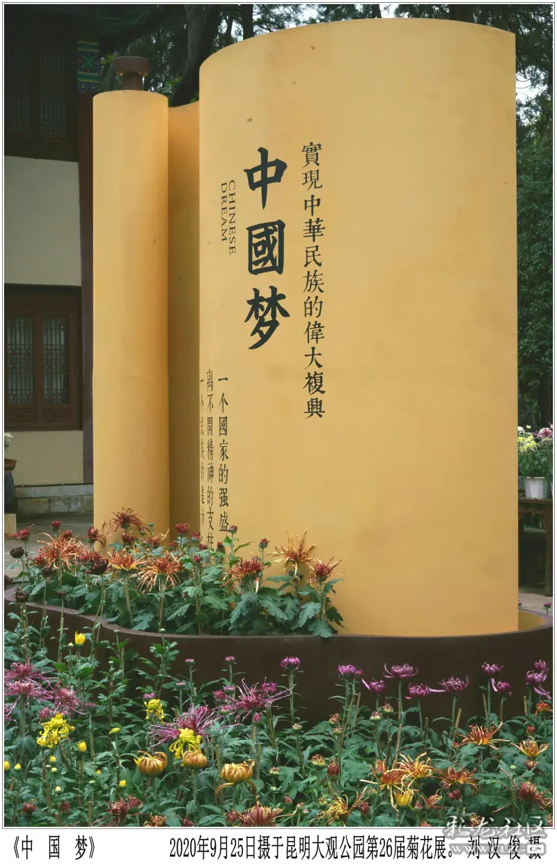 中国梦9月25日摄于大观公园26届菊花展