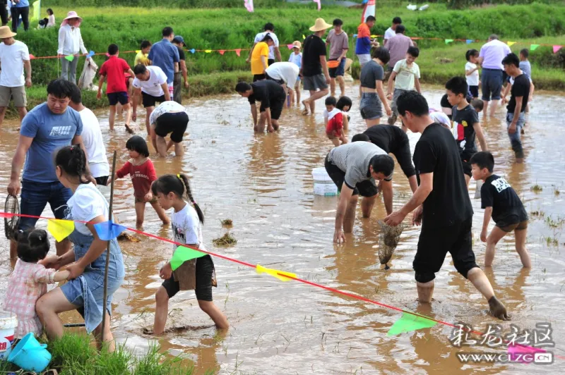 10.3寻甸渔乐谷稻田摸鱼记(3)-彩龙社区