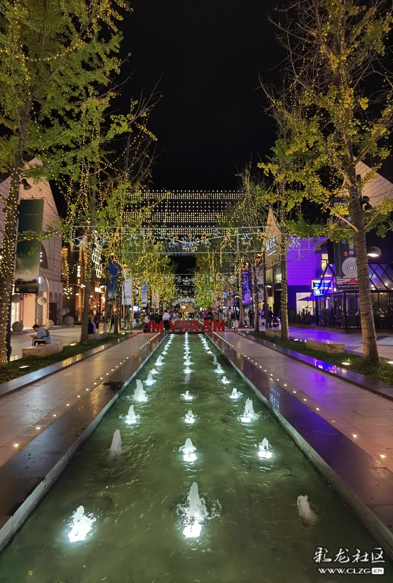 手機隨拍公園1903夜景