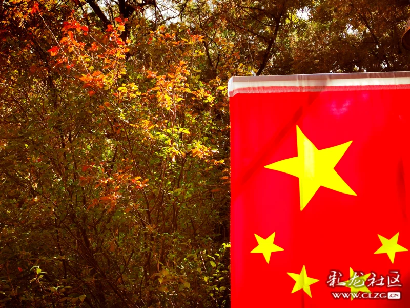 秋色中的国旗格外艳
