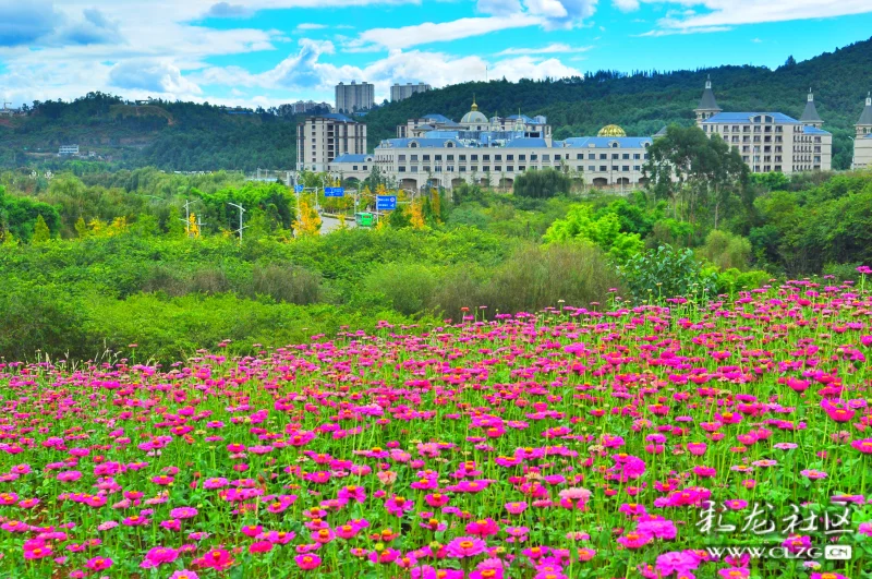 我在安宁温泉珍泉花海等你