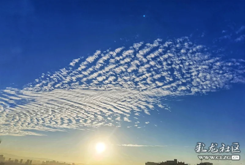 双十一晨拍天空有一缕漂亮的云