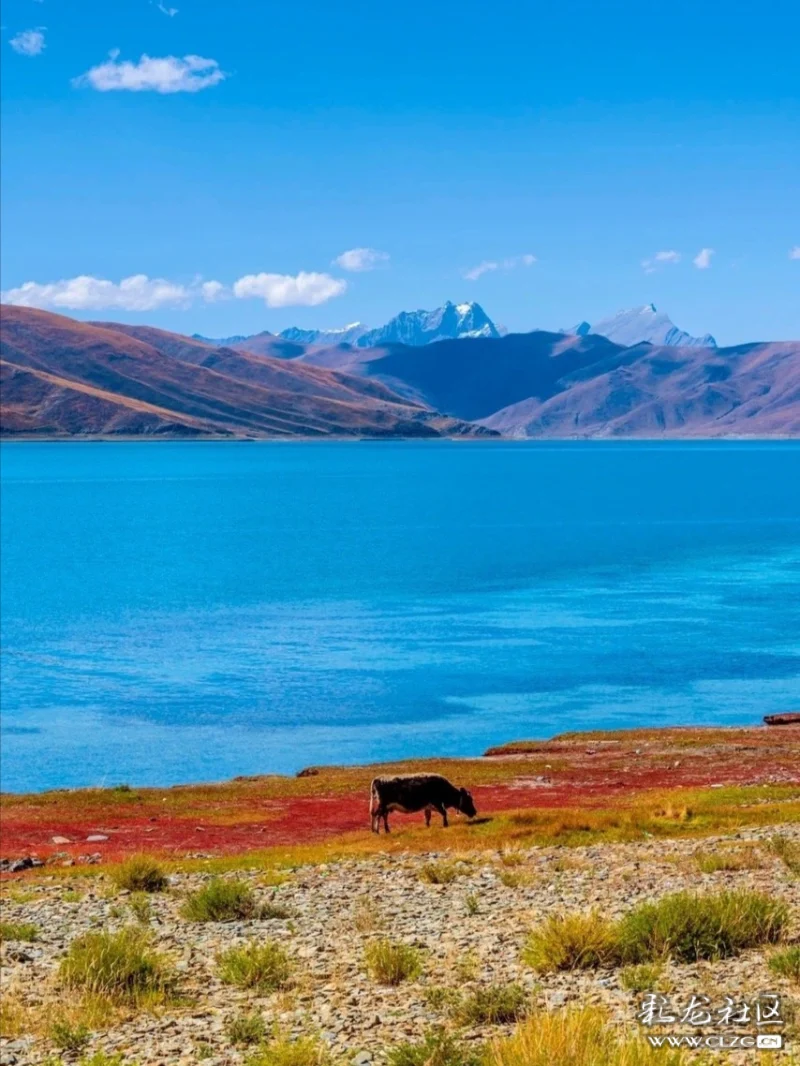 图游世界61路上的西藏