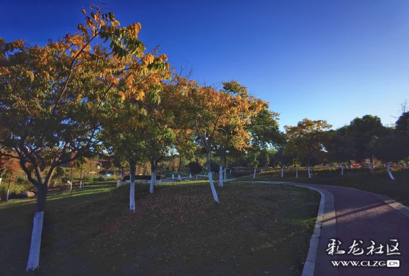初冬早晨的渔浦潭