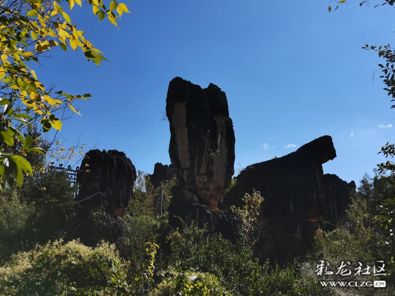 阿娜多姿的黑石箐石林景区