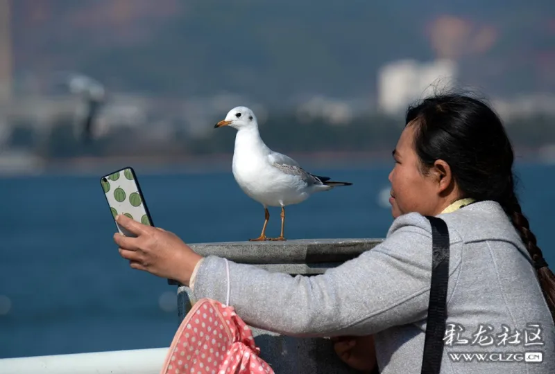 clzg_content&clzg_scale=1080,729