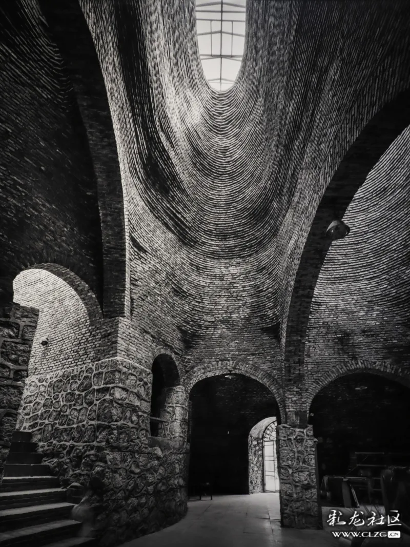 艾维美术馆罗旭蚁工筑巢