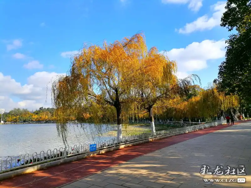 有一种冬天的休闲叫在呈贡洛龙湖