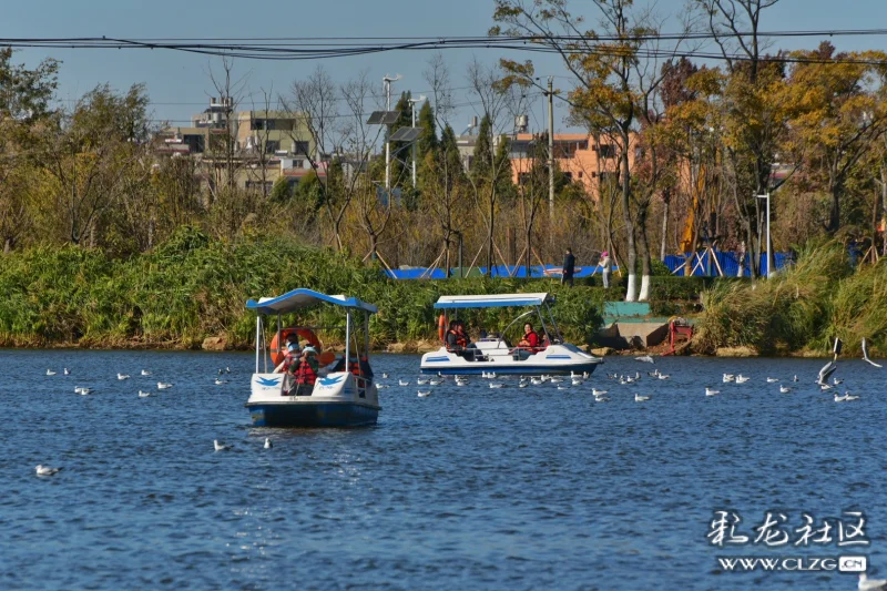 呈贡斗南湿地公园掠影