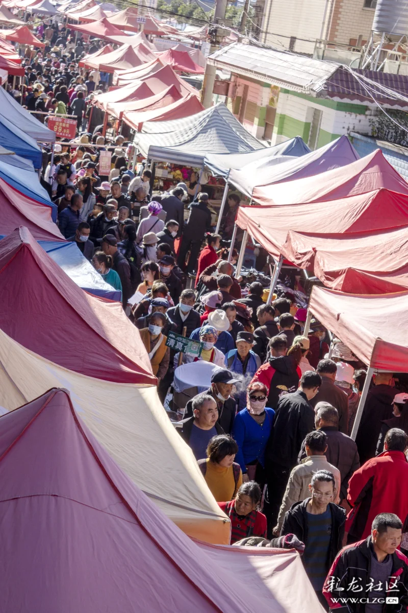 繁荣昌盛的呈贡龙街