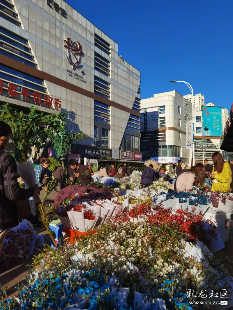 走馬觀花逛斗南花卉市場