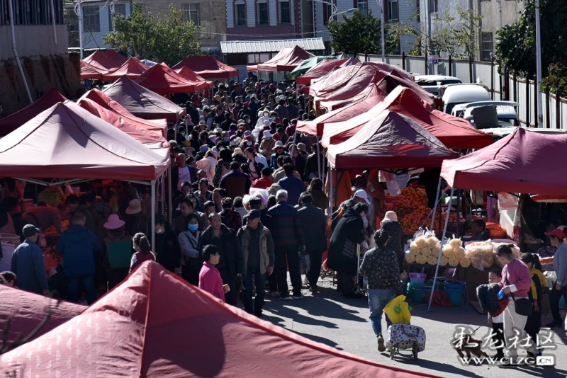我们的生活像花一样走进呈贡乡街子一龙街